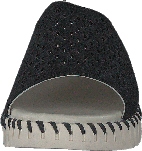 Tulip1375 Negro