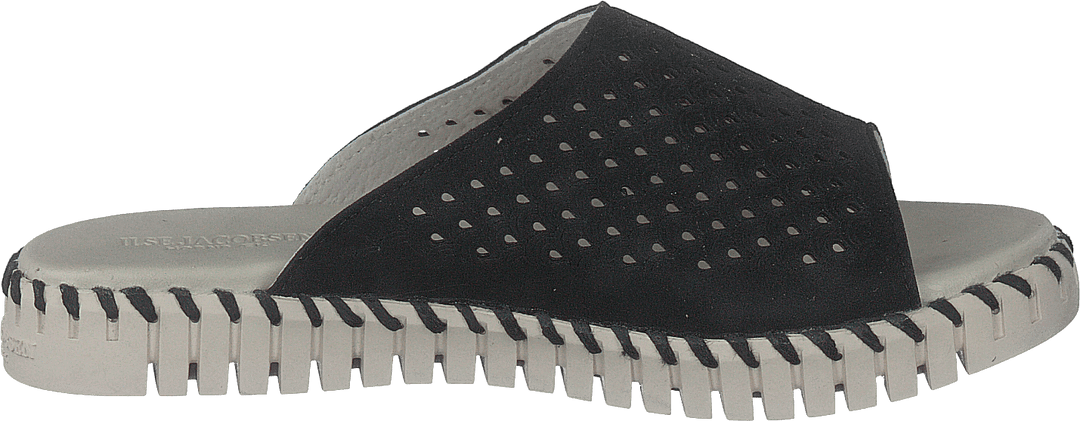 Tulip1375 Negro