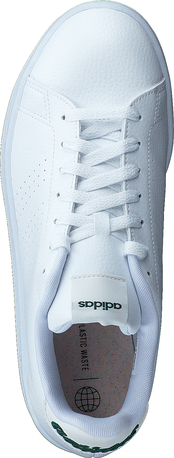 Advantage Molnvit / Molnvit / Collegiate Green