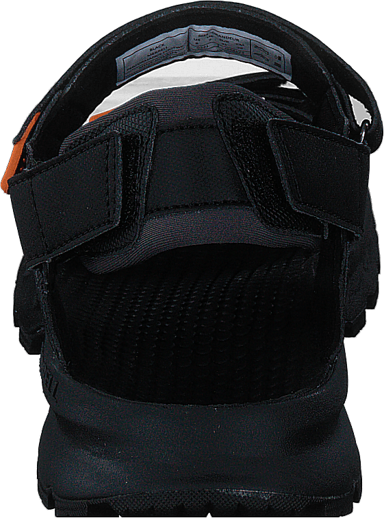 Cedrus Convert 3 Preto