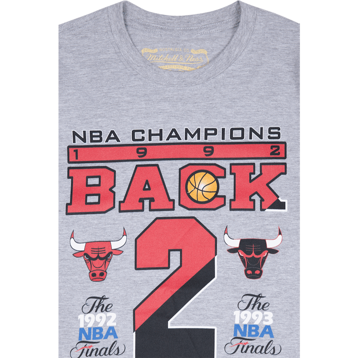 Bulls Last Dance Bulls B2b Champ