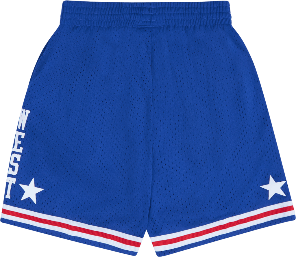 Swingman Shorts Royal