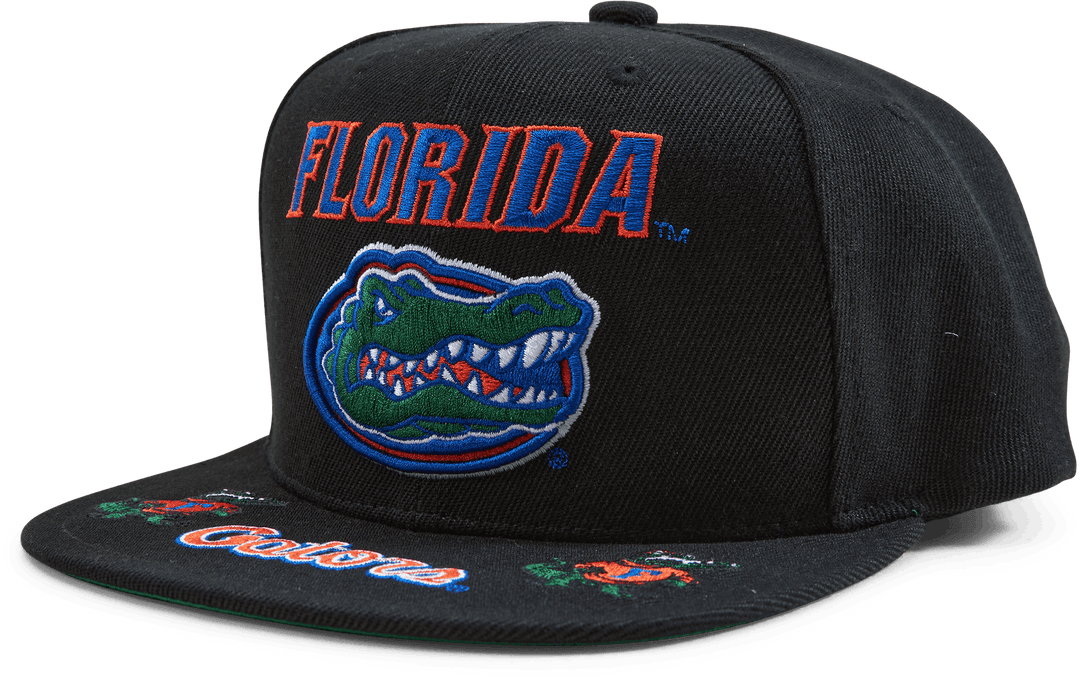 Gators Front Loaded Snapback