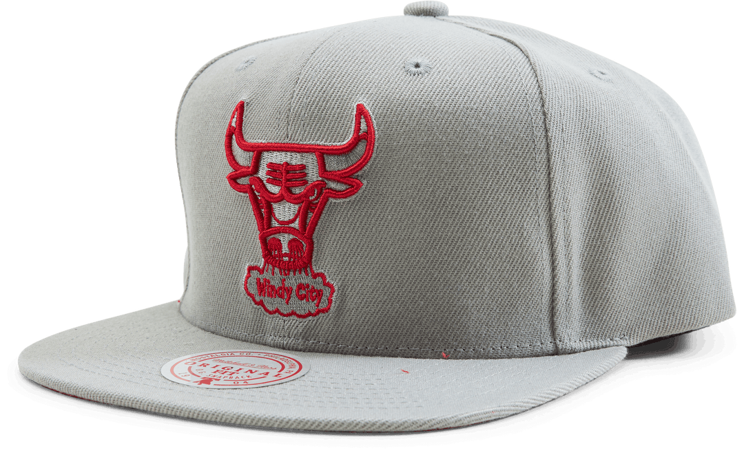 Bulls 2 Tonal Snapback HWC