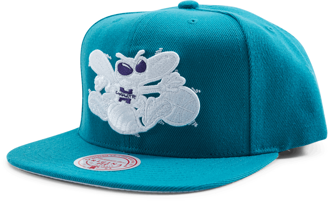 Hornets Color Popz Snapback