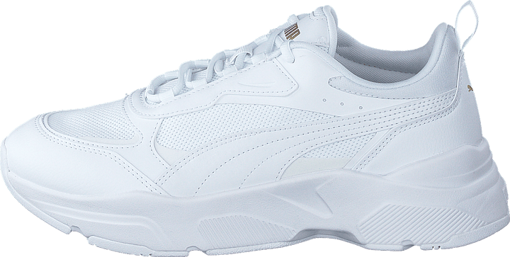 Cassia Puma Vit-puma Vit-puma Te