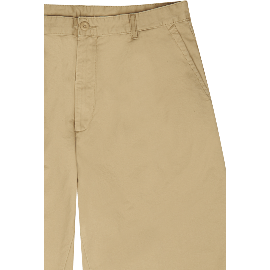 Ammonite à feuilles d'aulne