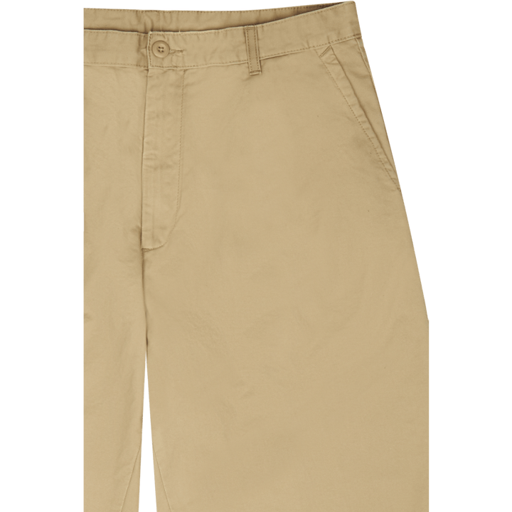 Ammonite à feuilles d'aulne