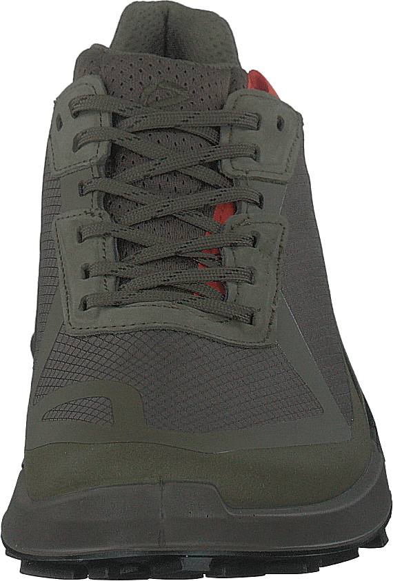 Ecco Biom 2.1 X Country M asfalto/foglia d'uva