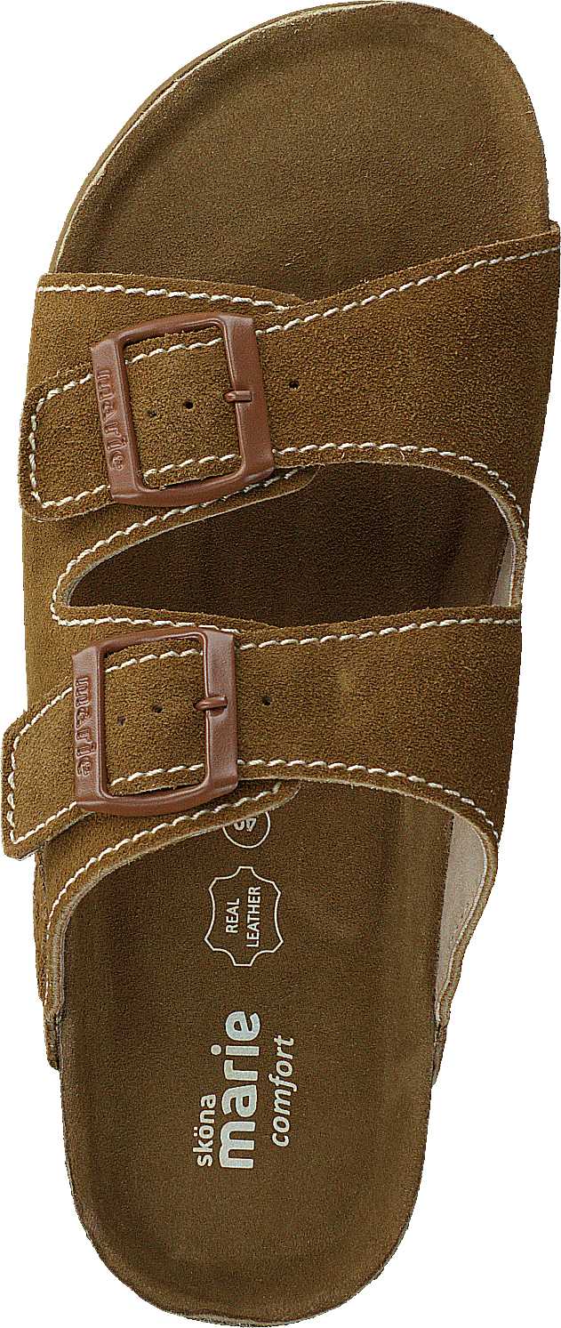 Lolo castanho dourado