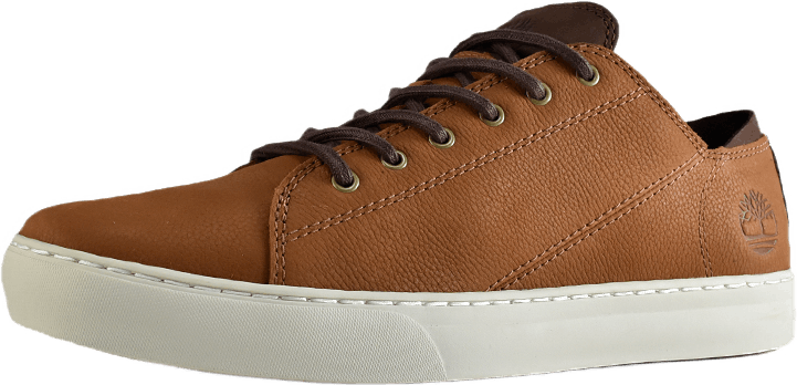 Adventure 2.0 Cupsole Modern Saddle