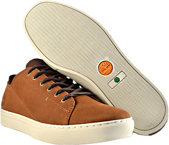 Adventure 2.0 Cupsole Modern Saddle