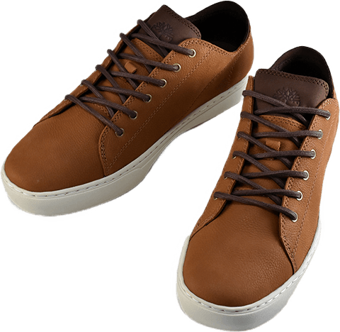 Adventure 2.0 Cupsole Modern Saddle