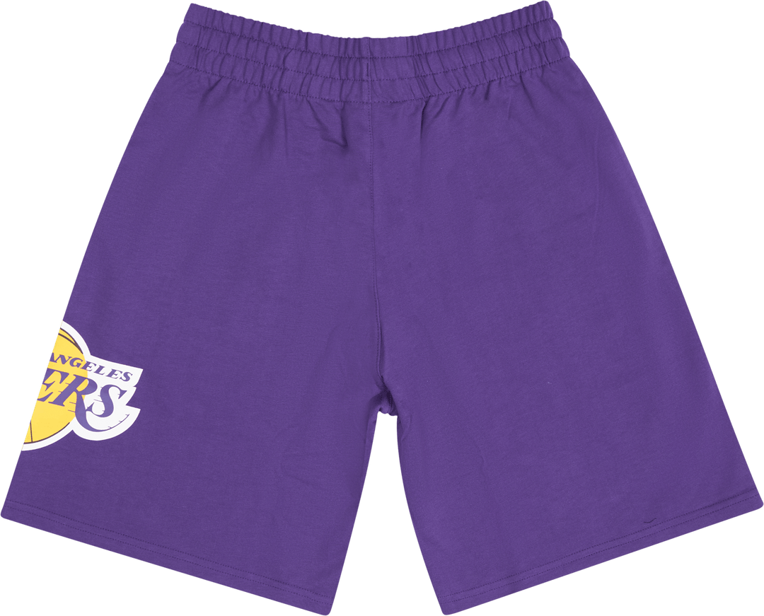 Pantaloncini Lakers Washed Team Logo
