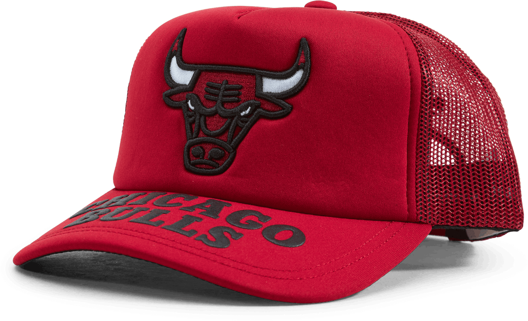 Bulls Puff The Magic Trucker HWC