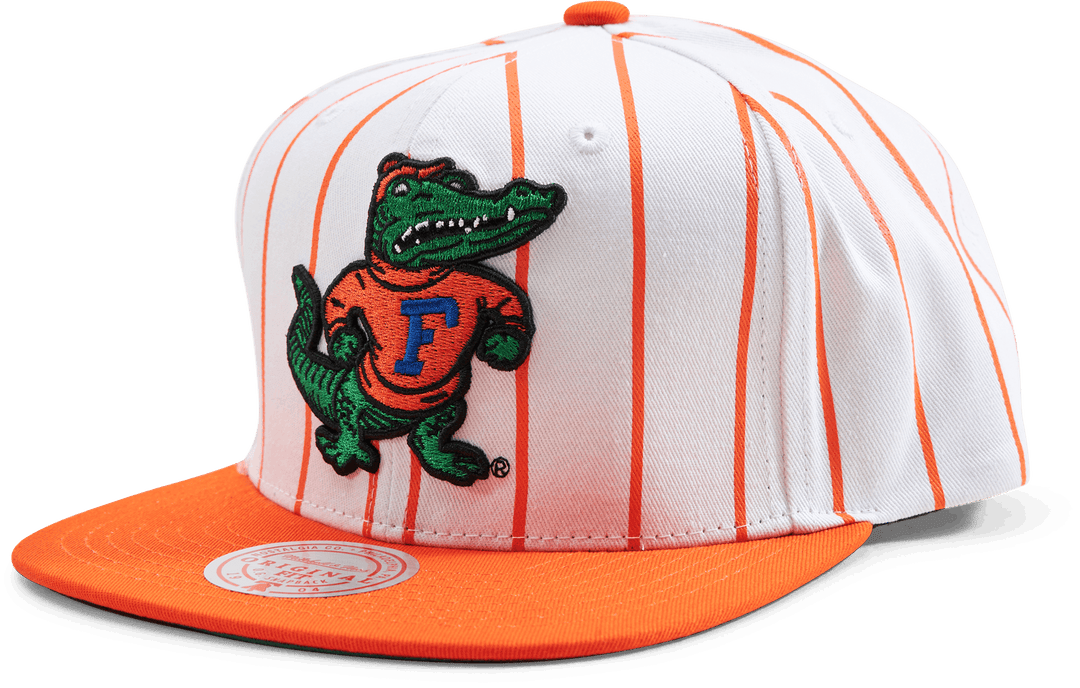 Snapback Gators Newco