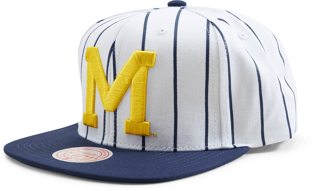 Snapback Michigan Newco