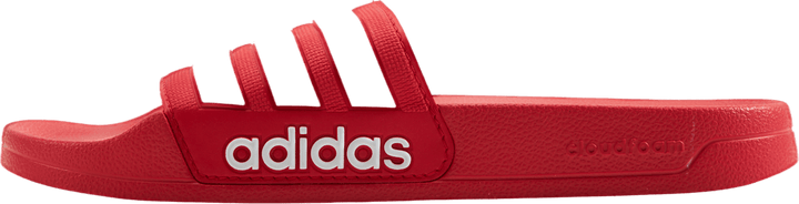Claquettes de douche Adilette Rouge vif / Blanc nuage / Rouge vif