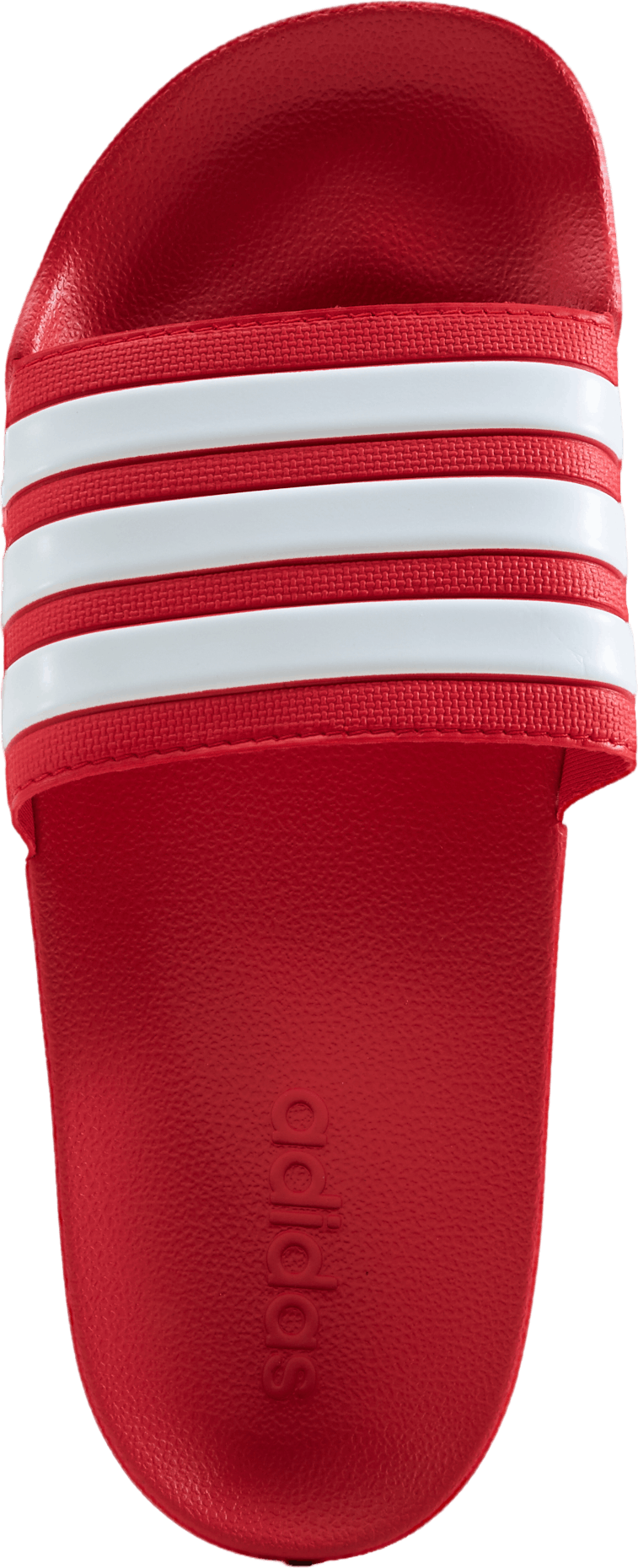 Claquettes de douche Adilette Rouge vif / Blanc nuage / Rouge vif