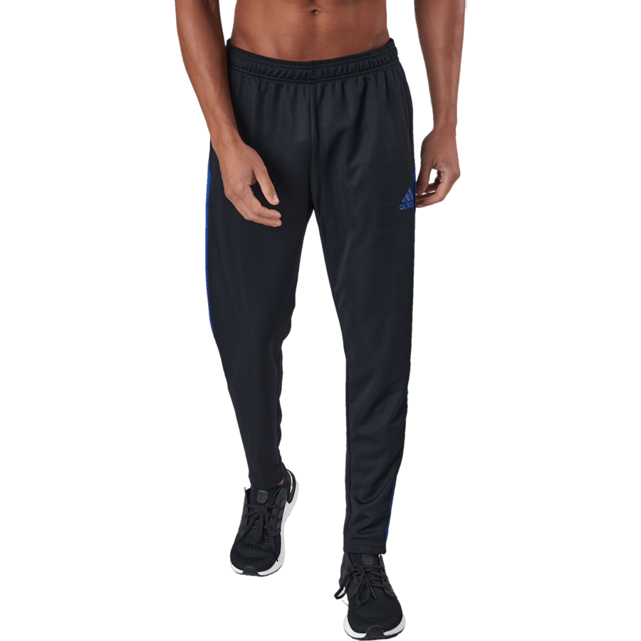 Tiro Tr Pnt Es nero/royblu