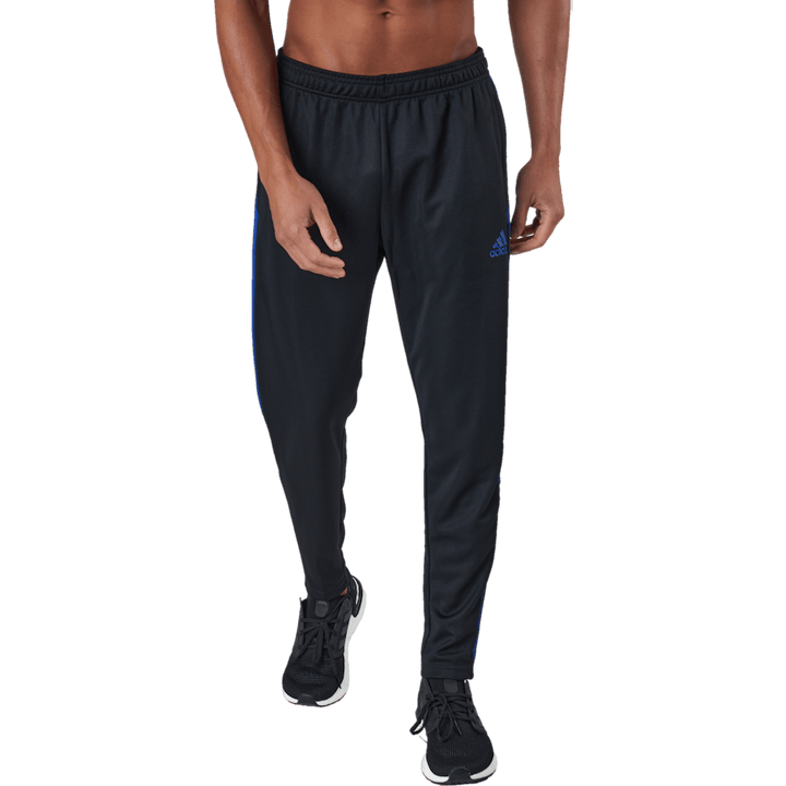 Tiro Tr Pnt Es nero/royblu