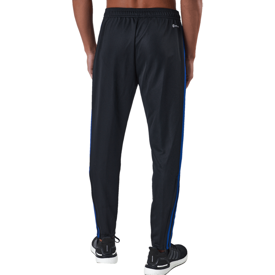 Tiro Tr Pnt Es nero/royblu