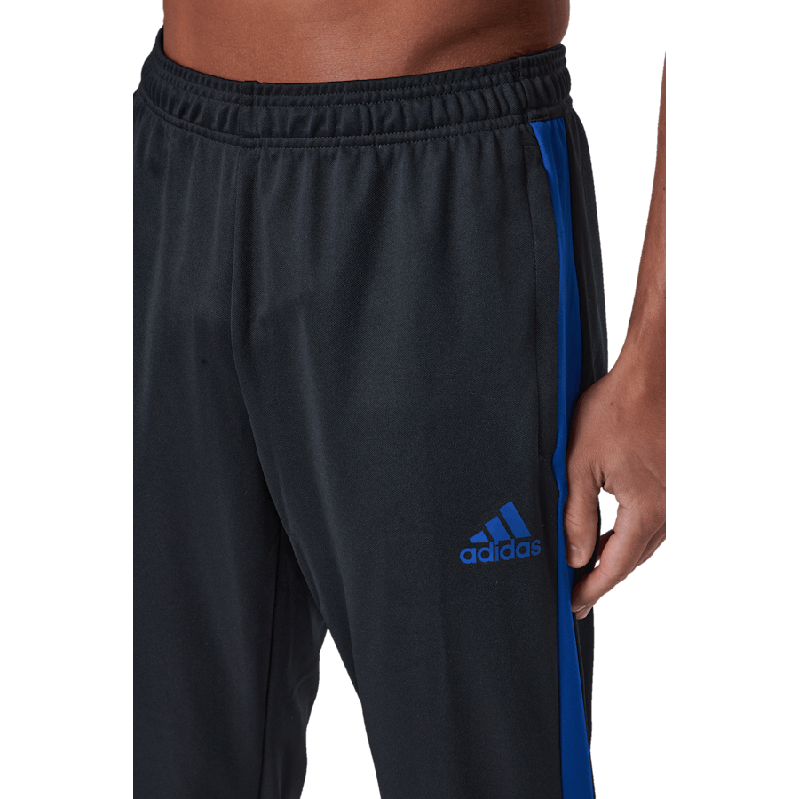 Tiro Tr Pnt Es nero/royblu