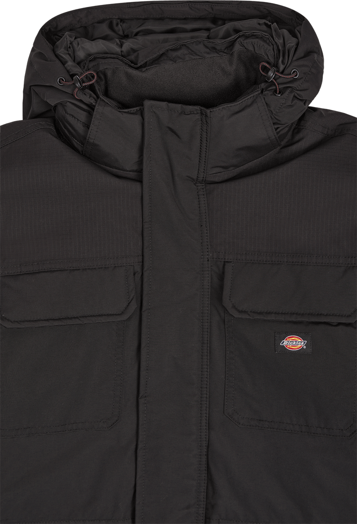 Dickies Glacier View Expedition