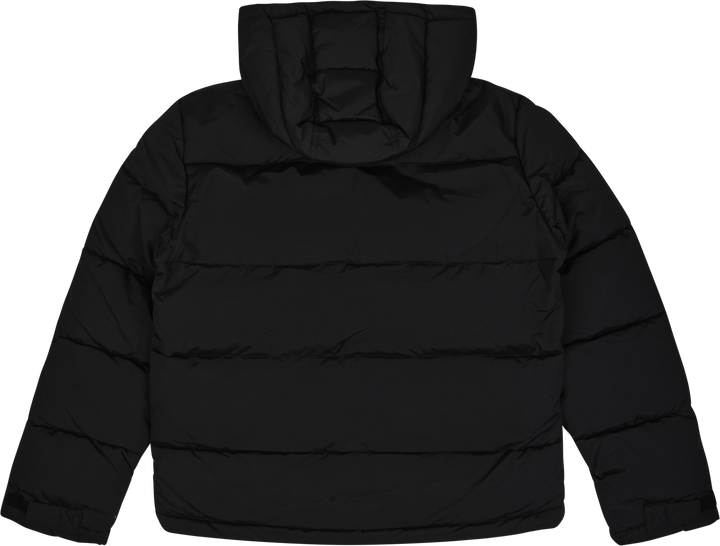 Polaire Glacier View de Dickies