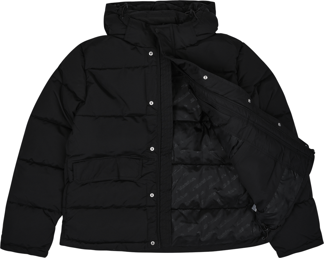 Polaire Glacier View de Dickies