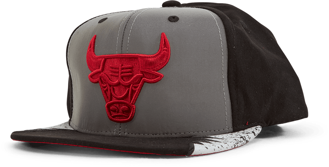 Snapback Bulls Day 5