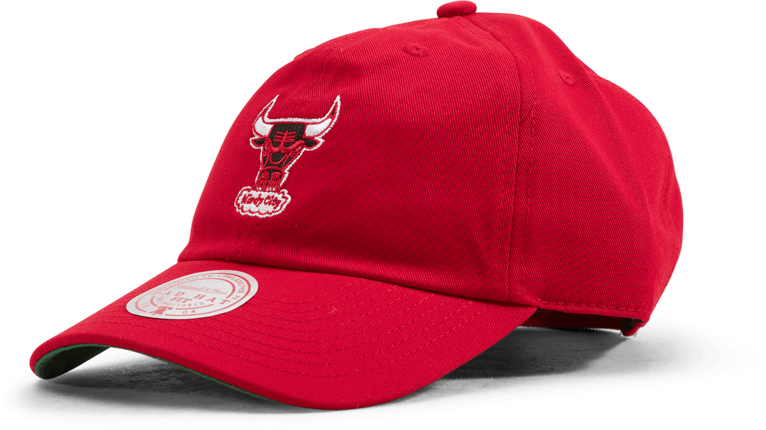Bulls Team Ground 2.0 Dad Strapback