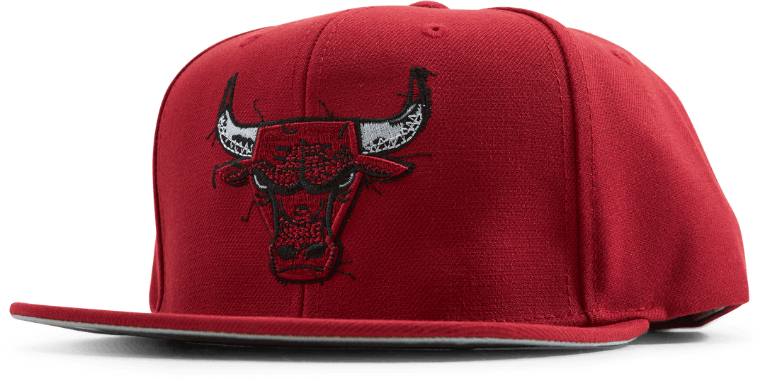 Broderie Bulls Glitch Snapback