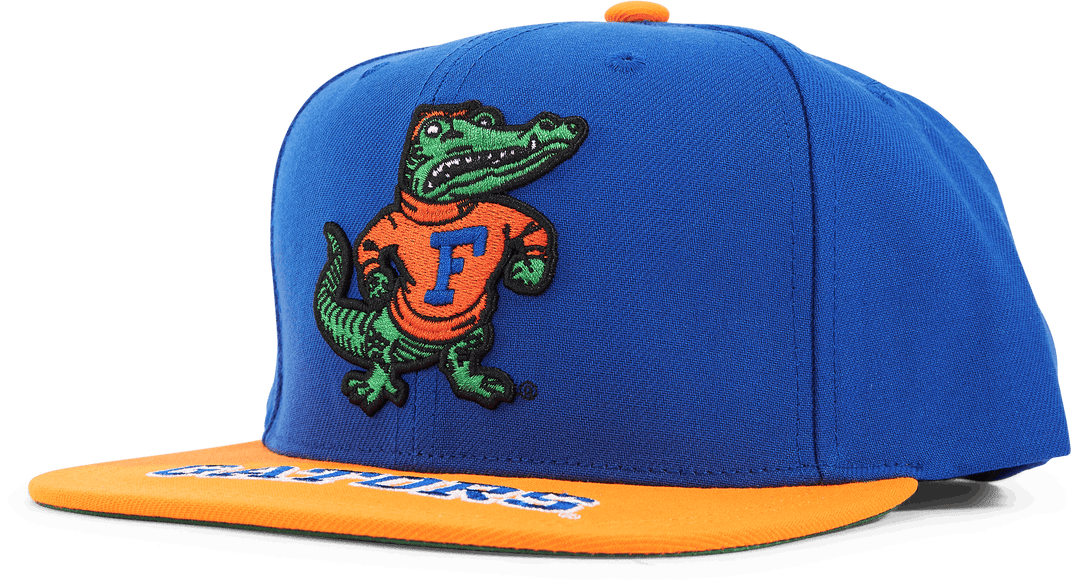 Gators Logo Bill Snapback