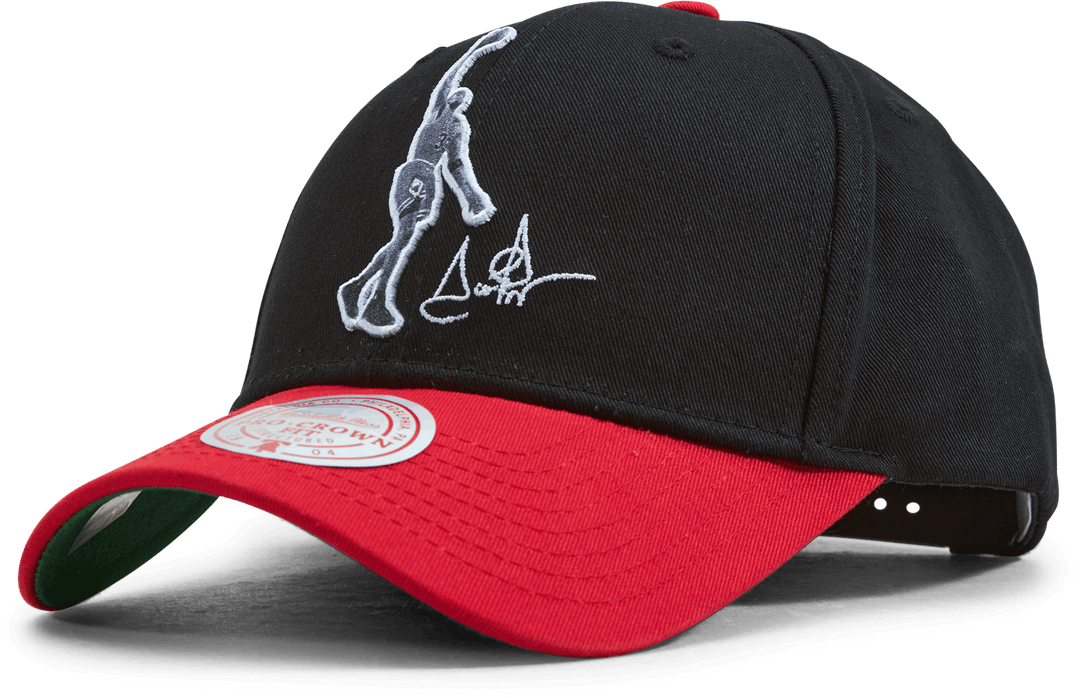 Bulls Highlight Real Snapback - Pippen