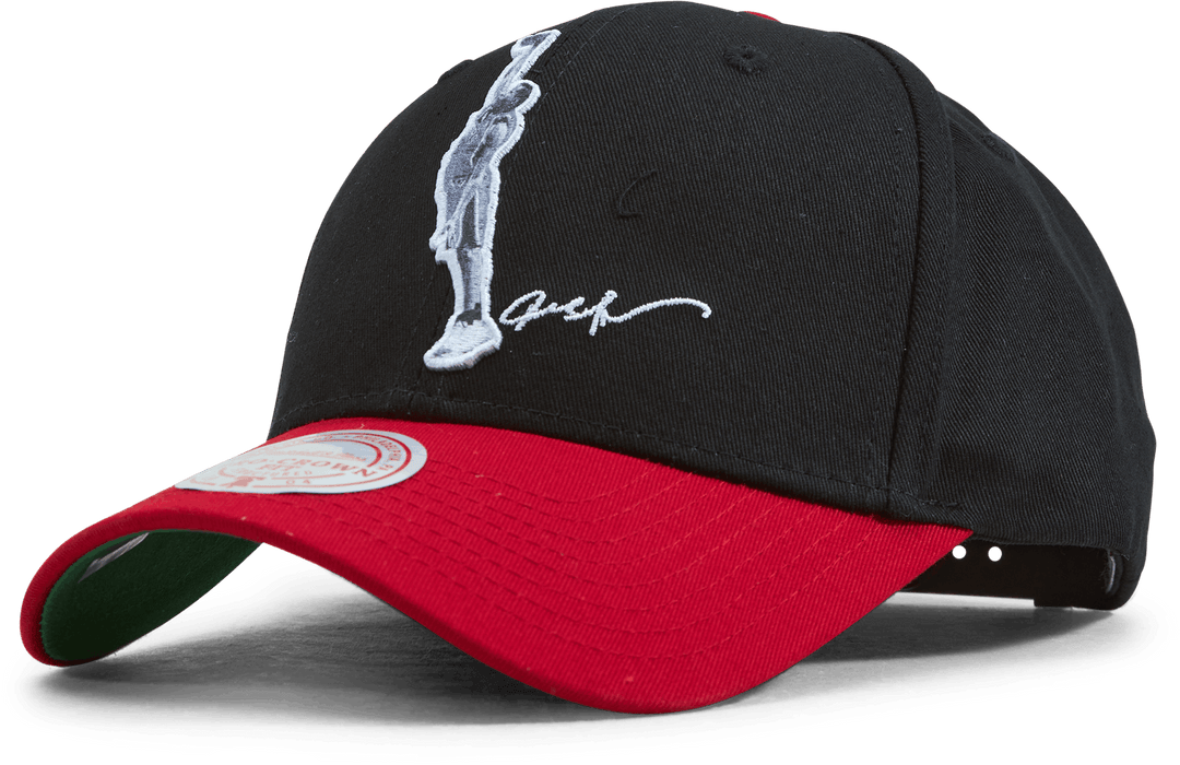 76ers Highlight Real Snapback Allen Iverson