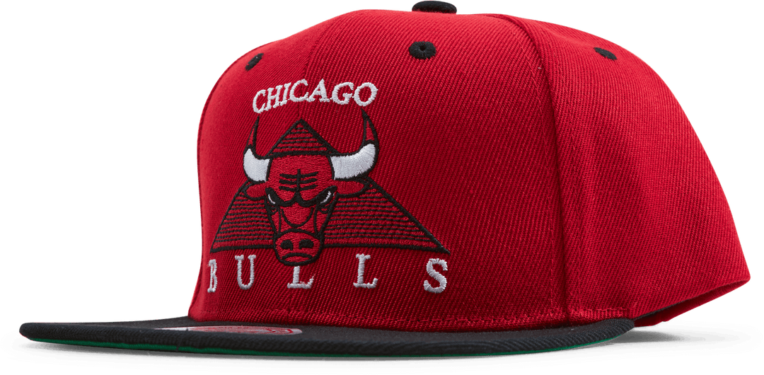 Bulls Monument Snapback