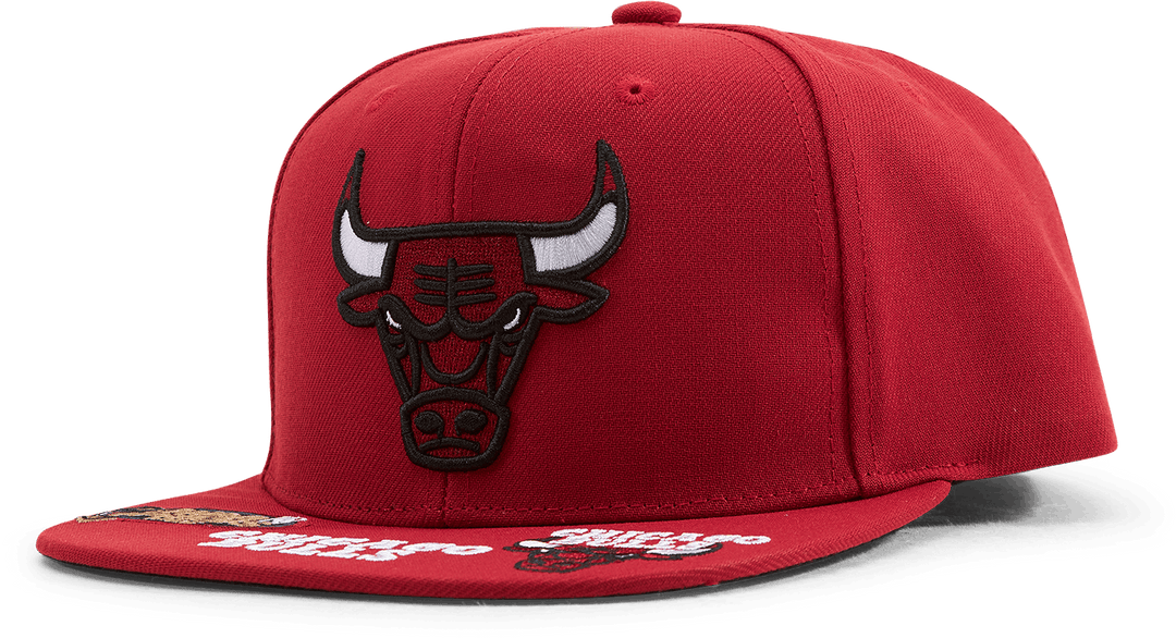 Bulls Front Face Snapback