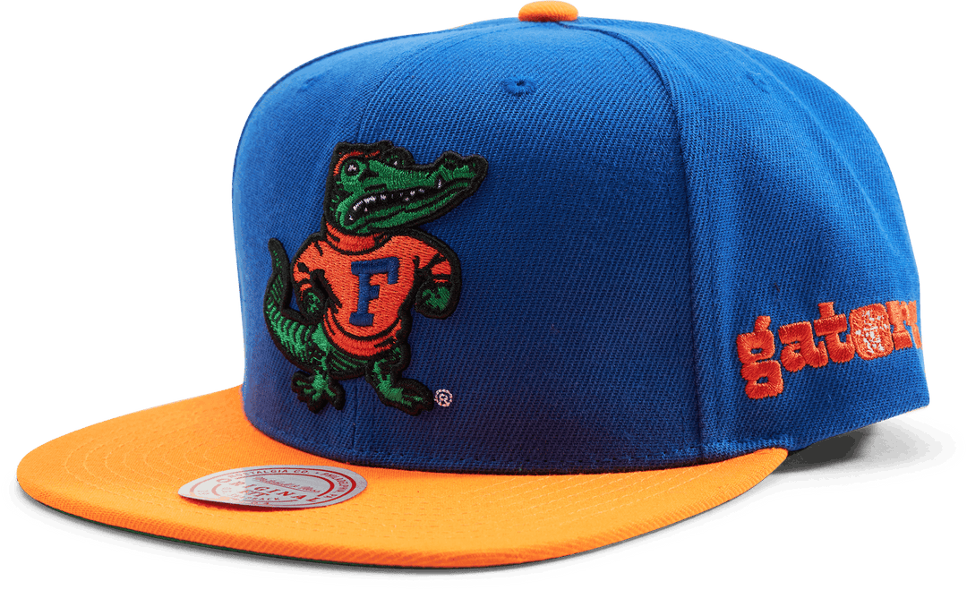 Gators Team Origins Snapback
