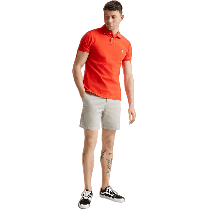 Caid Gris Tourterelle