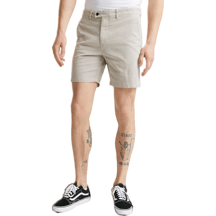 Caid Gris Tourterelle