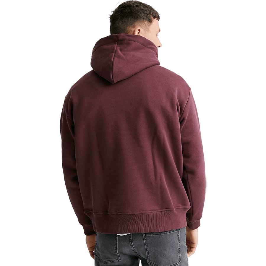 Sweat à capuche Diego Sassafras/ivoire