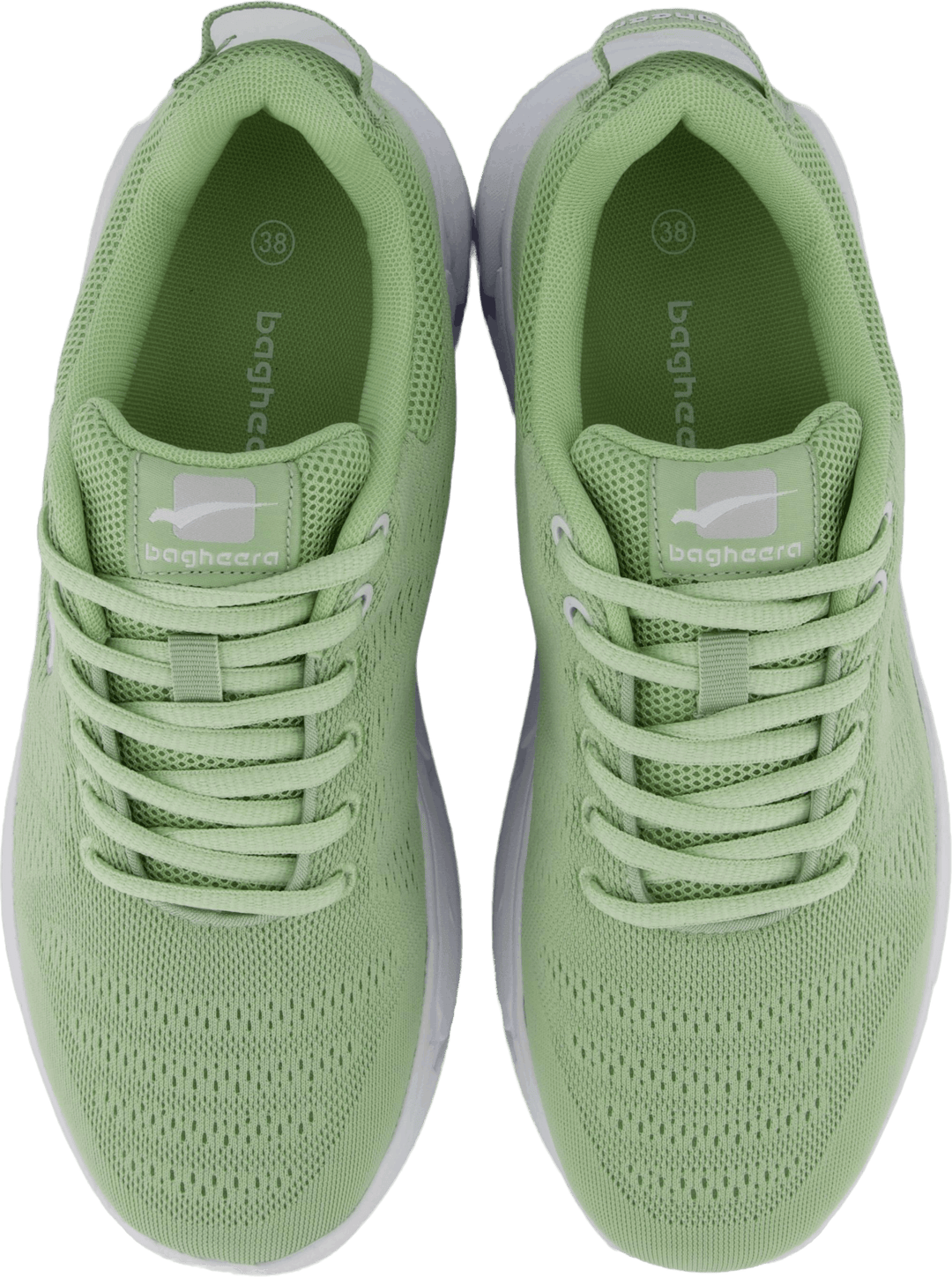 Eclipse Olive/Weiß