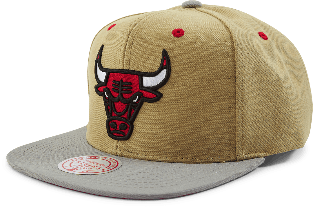 Classic Canvas Snapback