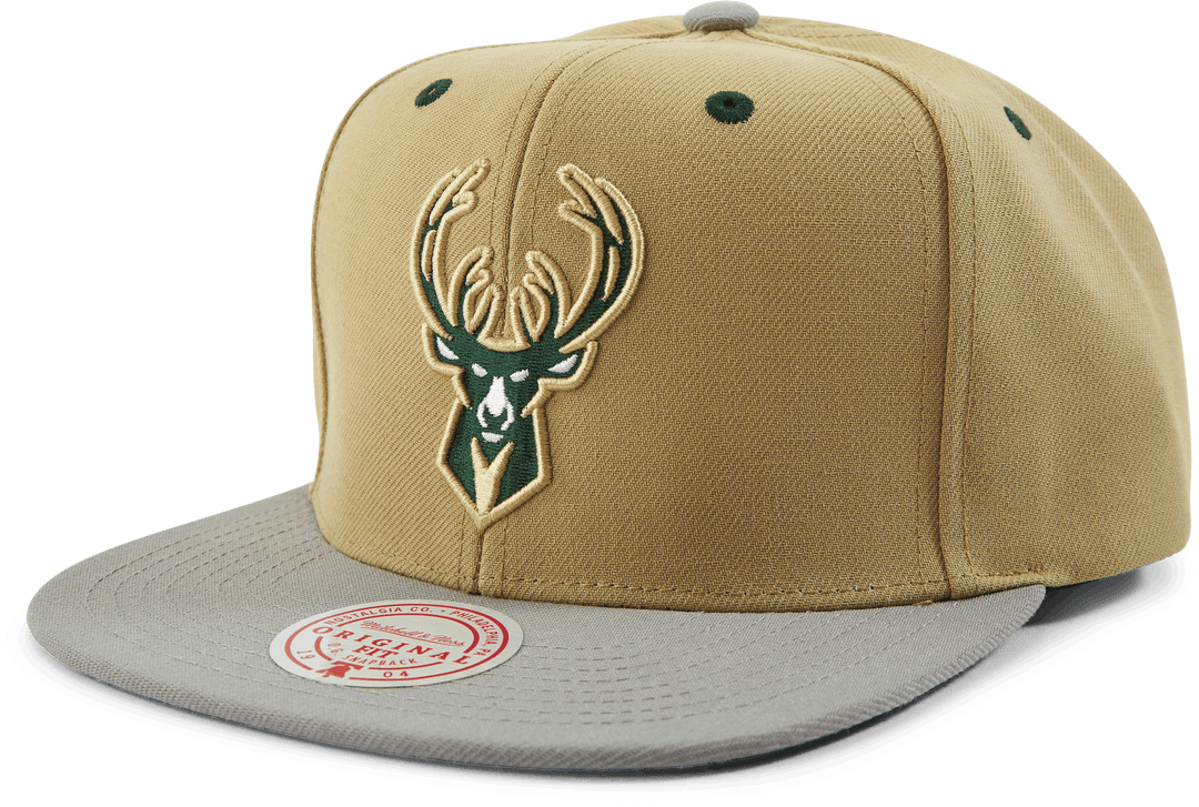 Classic Canvas Snapback