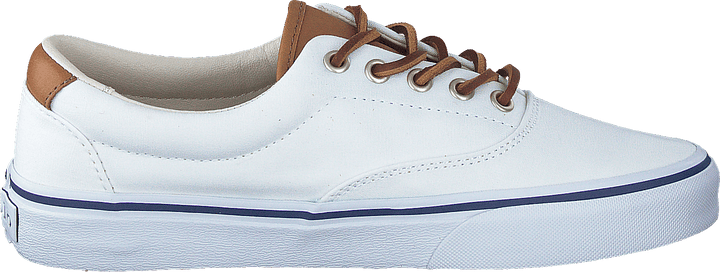 Keaton Canvas Sneaker White / Multi PP