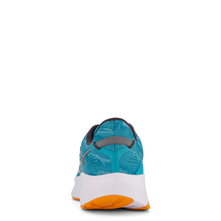 Guide 16 Agave/marigold