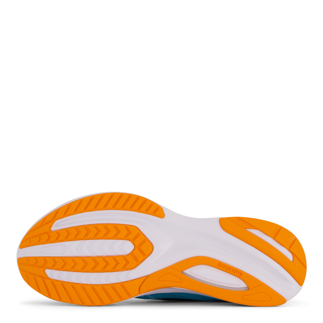 Guide 16 Agave/marigold