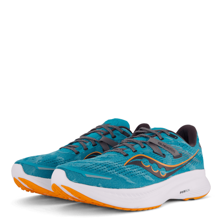 Guide 16 Agave/marigold