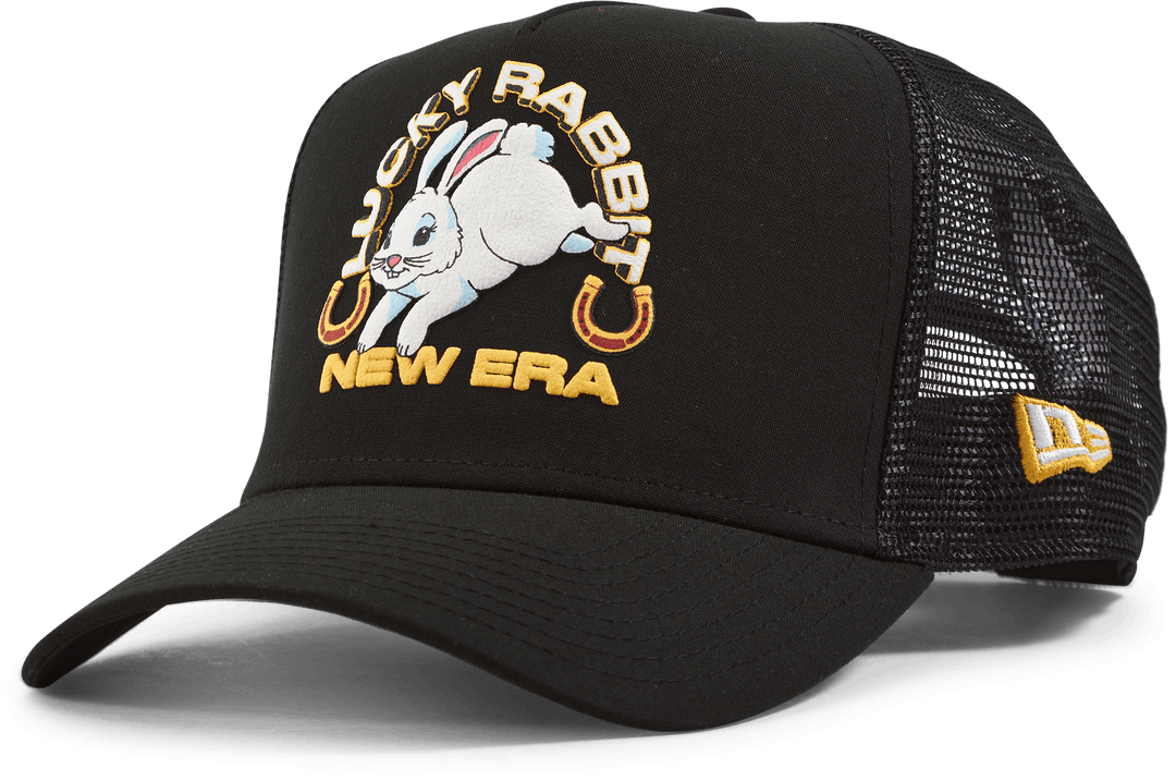CARTELLO CAMIONISTA NEW ERA